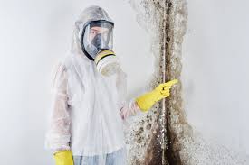 Best Asbestos and Lead Testing During Mold Inspection  in Homewood, IL